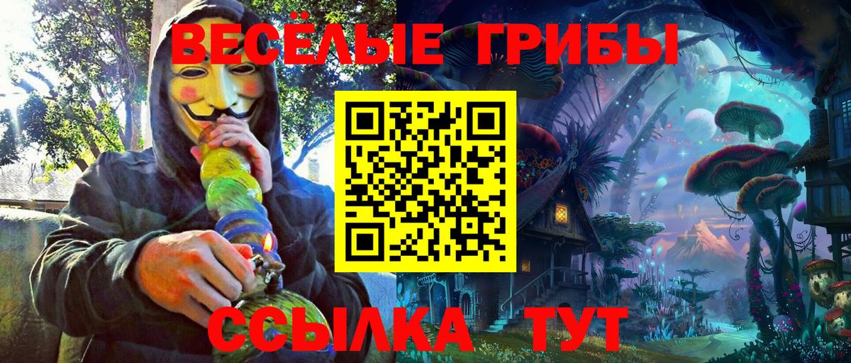 Сосновый Бор  Псилоцибиновые грибы MAGIC MUSHROOMS  Вход с VPN 